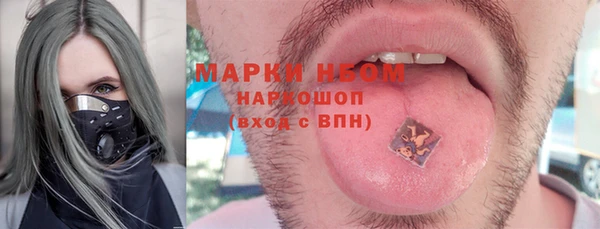 стафф Верхний Тагил