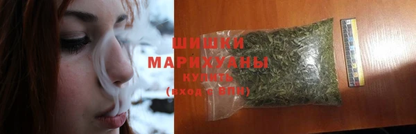 стафф Верхний Тагил