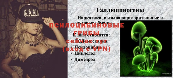 стафф Верхний Тагил