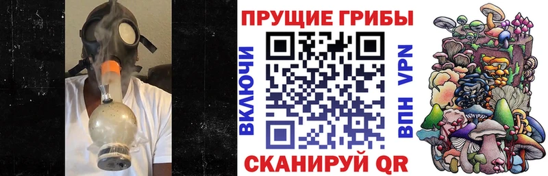площадка Telegram  Тбилисская  Псилоцибиновые грибы прущие грибы  цена  